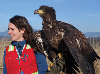 Birds of Prey Foundation