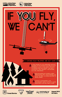 Poster for "If You Fly, We Can't" campaign