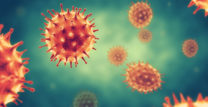 Illustration of coronaviruses