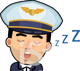 icon of s sleeping pilot